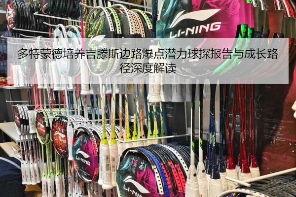 多特蒙德培养吉滕斯边路爆点潜力球探报告与成长路径深度解读